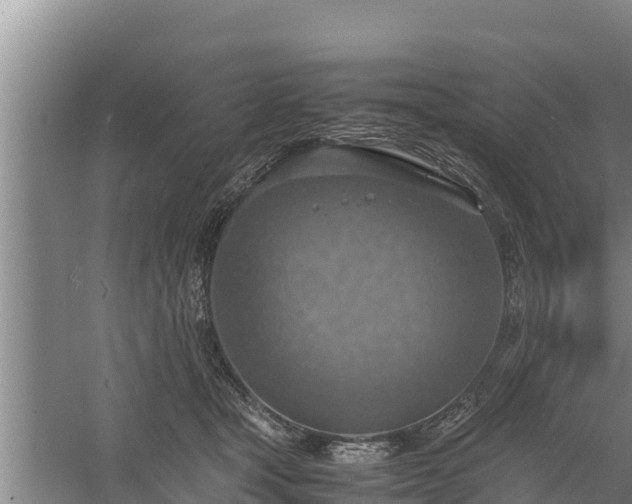 X0000058130465200509301957