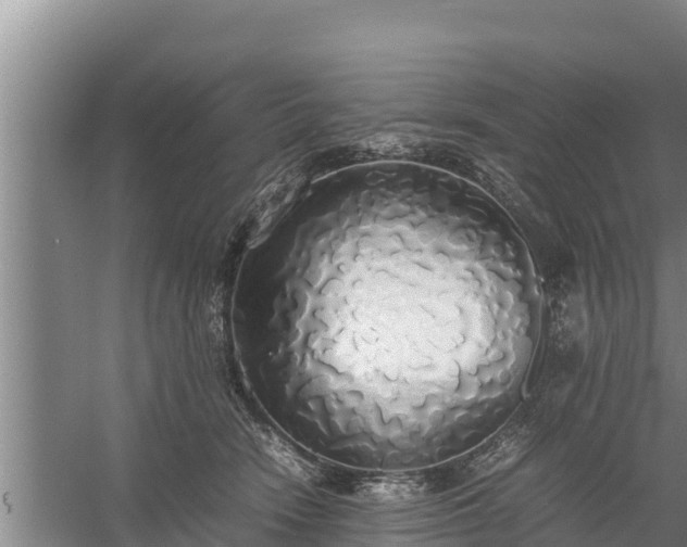 X0000058130466200509301957