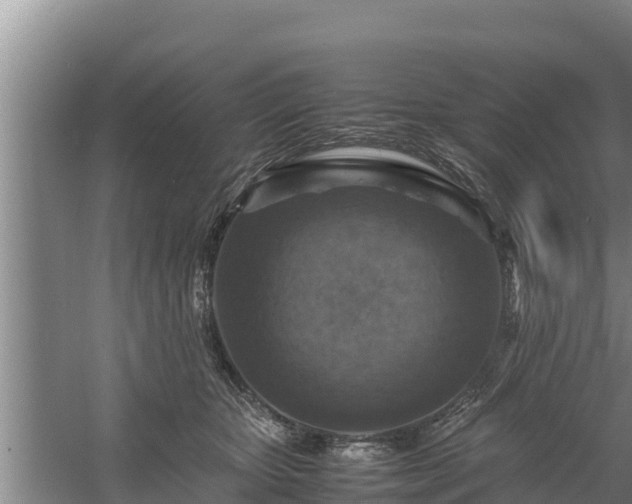 X0000058130467200509301957