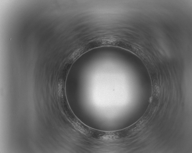 X0000058130468200509301957