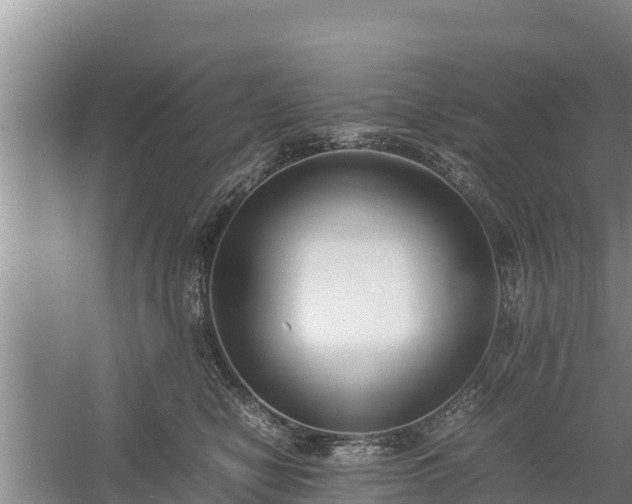 X0000058130470200509301957