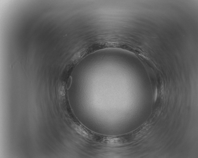 X0000058130472200509301957