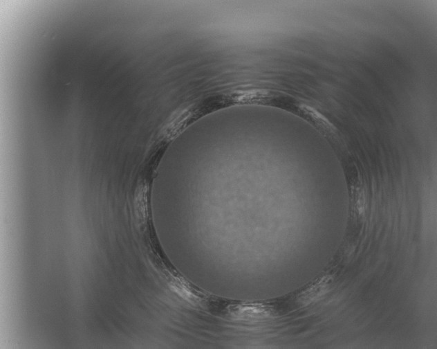 X0000058130475200509301957