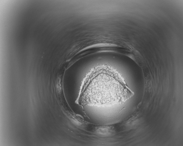 X0000058130479200509301957