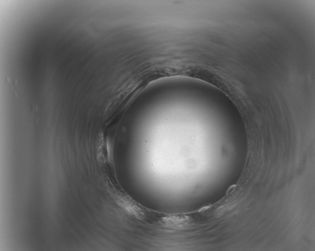 X0000058130480200509301957