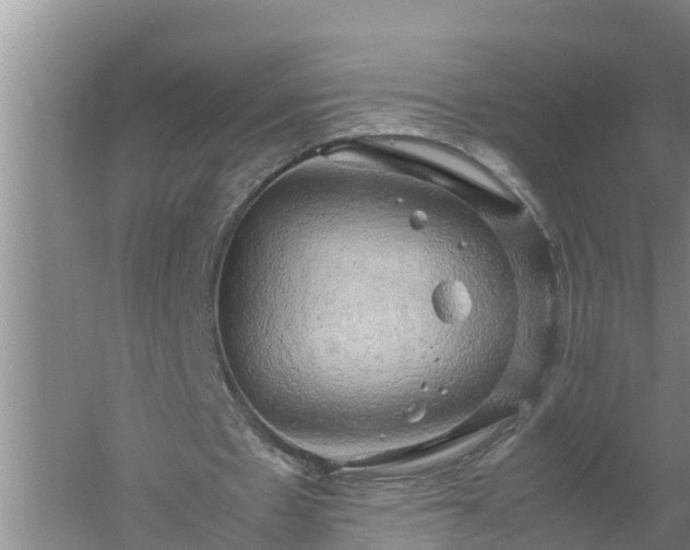 X0000058130481200509301957