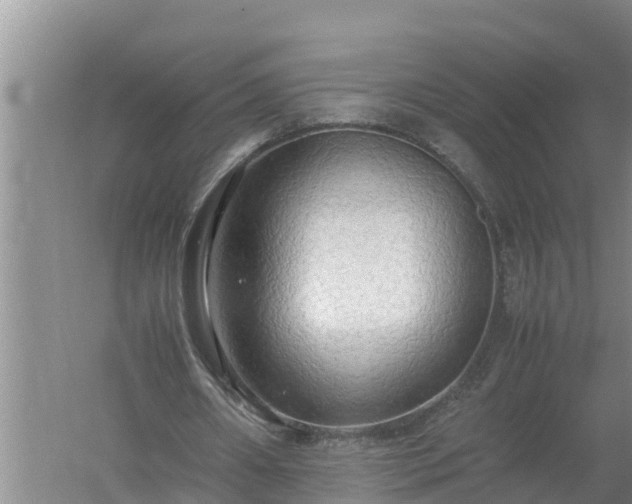 X0000058130482200509301957