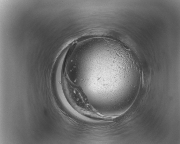 X0000058130483200509301957