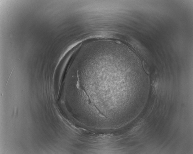 X0000058130484200509301957