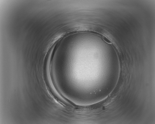 X0000058130485200509301957