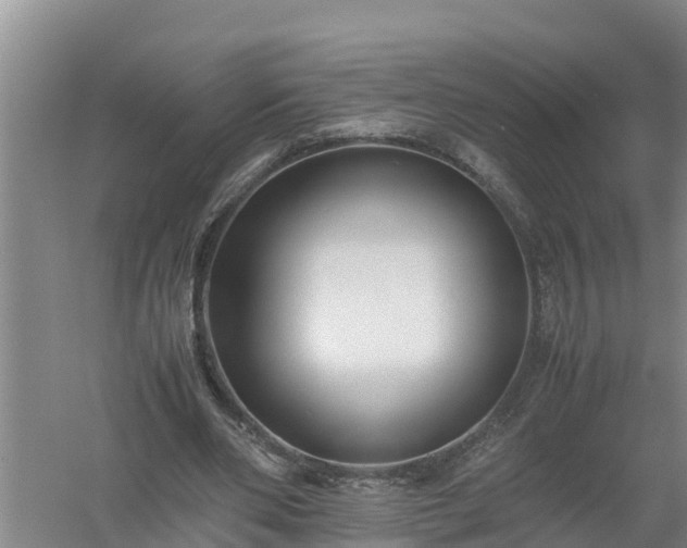 X0000058130486200509301956