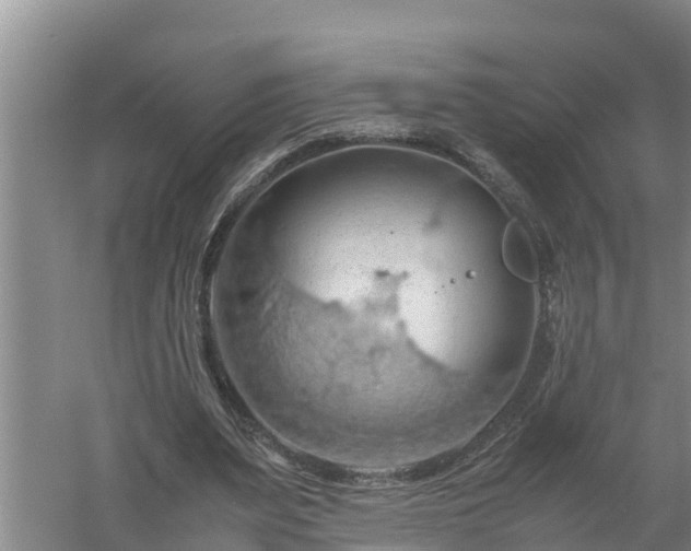 X0000058130487200509301956