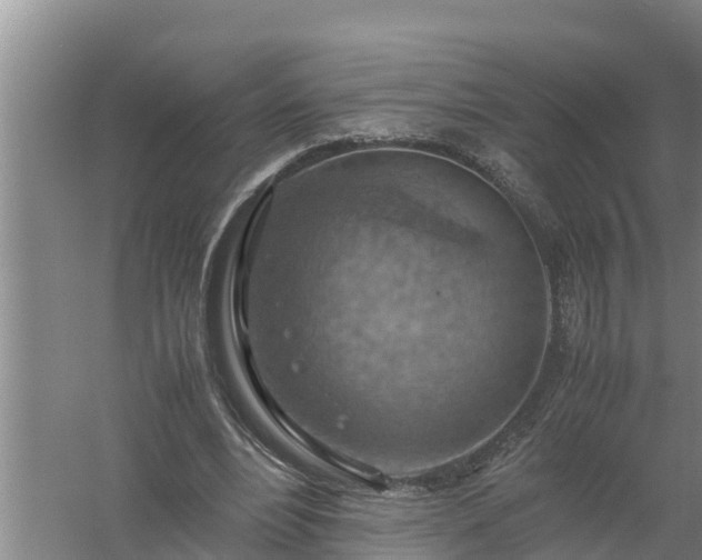 X0000058130488200509301956