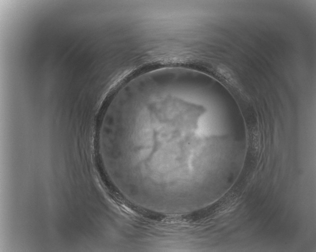 X0000058130491200509301956