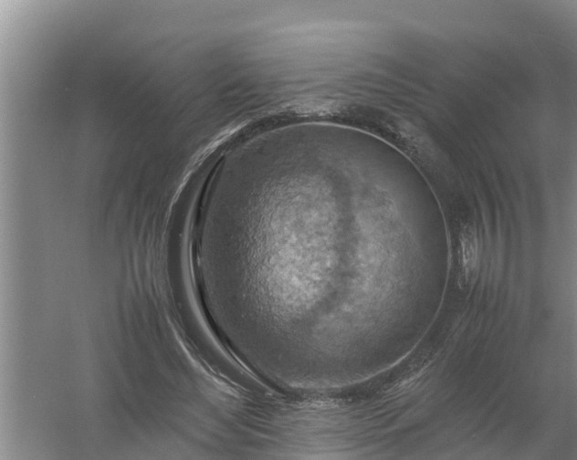 X0000058130492200509301956