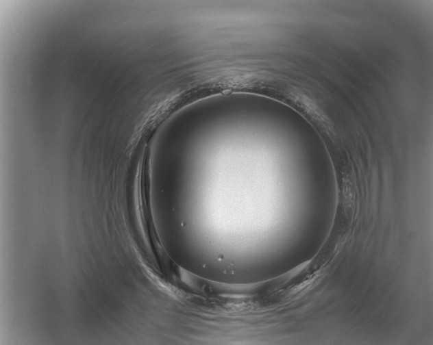 X0000058130493200509301956