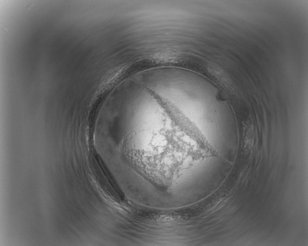 X0000058130494200509301956