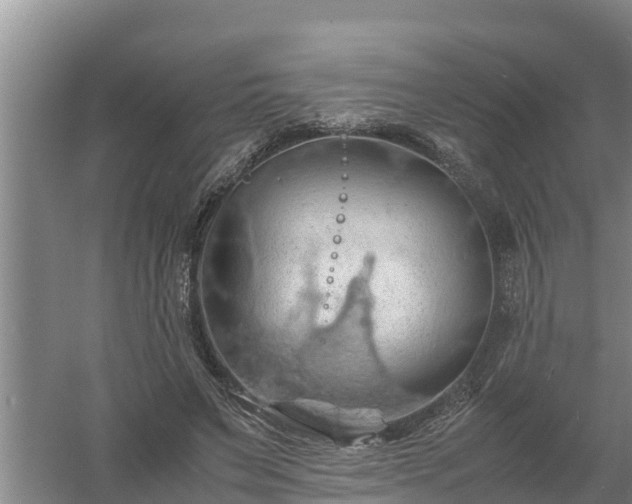 X0000058130495200509301956