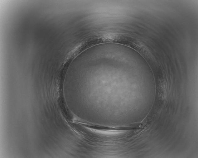 X0000058130496200509301956