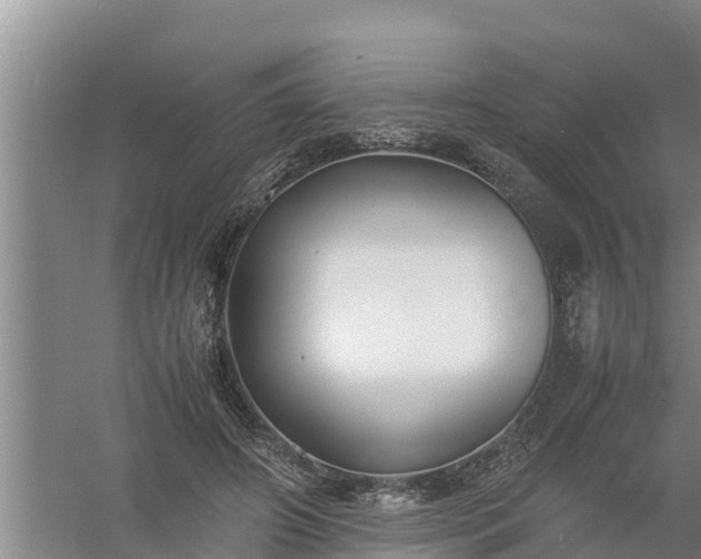 X0000058130498200509301956