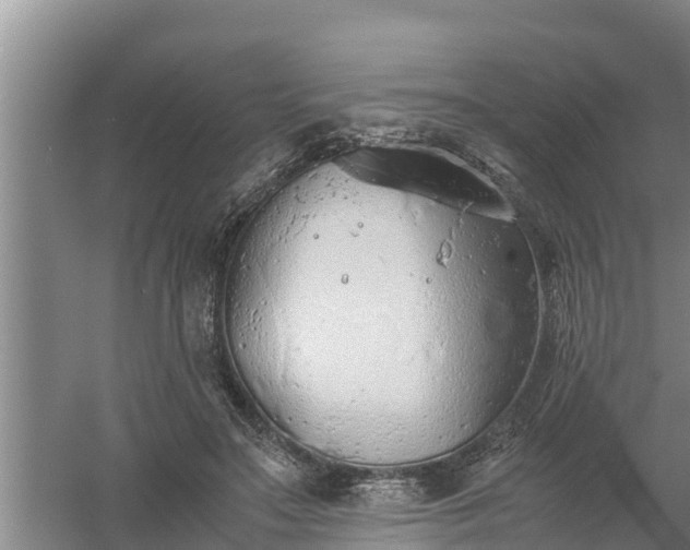 X0000058130499200509301956