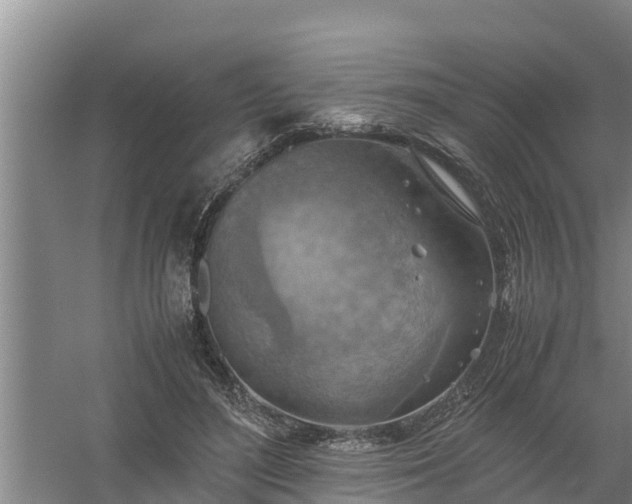 X0000058130500200509301956