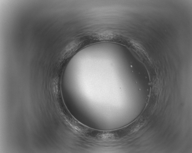 X0000058130501200509301956