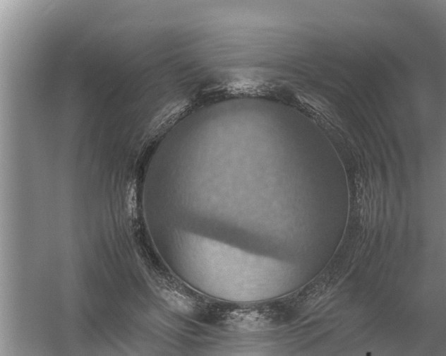 X0000058130502200509301956