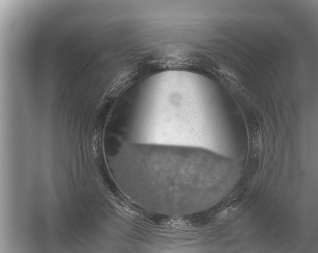 X0000058130503200509301956