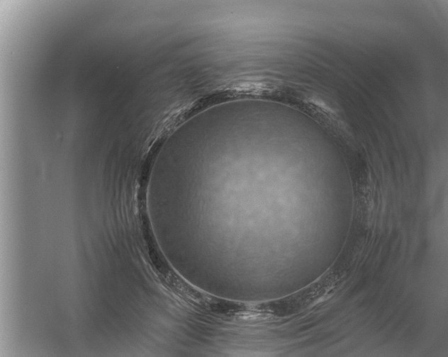 X0000058130504200509301956