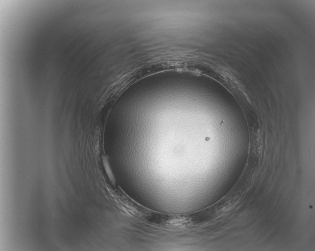 X0000058130505200509301956