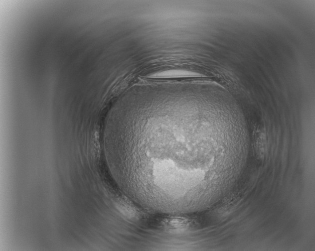 X0000058130506200509301956