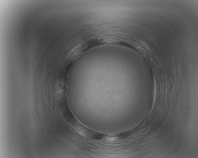 X0000058130507200509301956