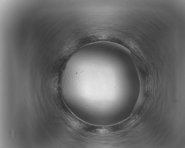 X0000058130509200509301956