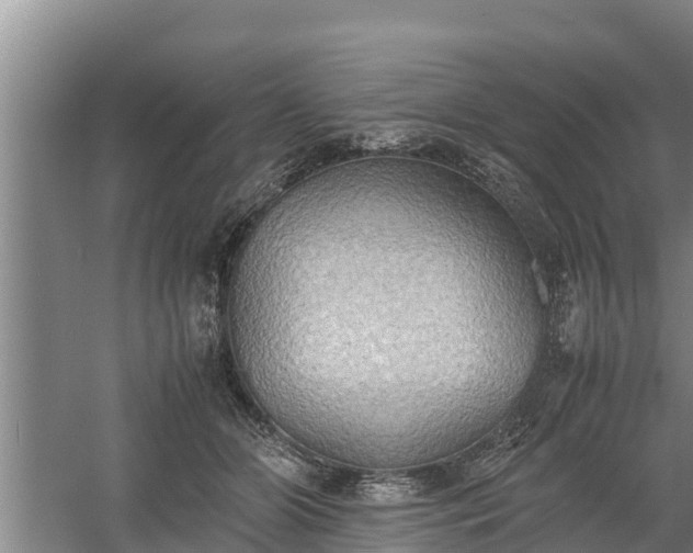 X0000058130510200509301956