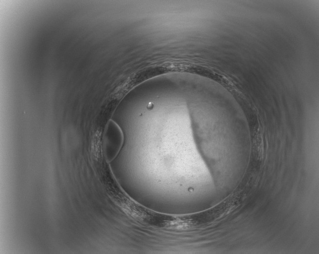 X0000058130511200509301956