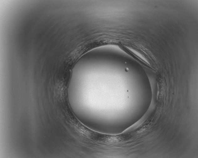 X0000058130513200509301956