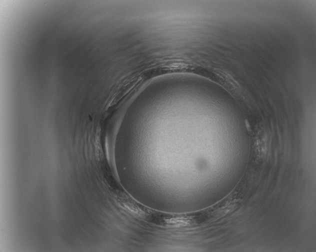 X0000058130516200509301956