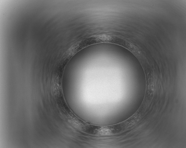 X0000058130518200509301956