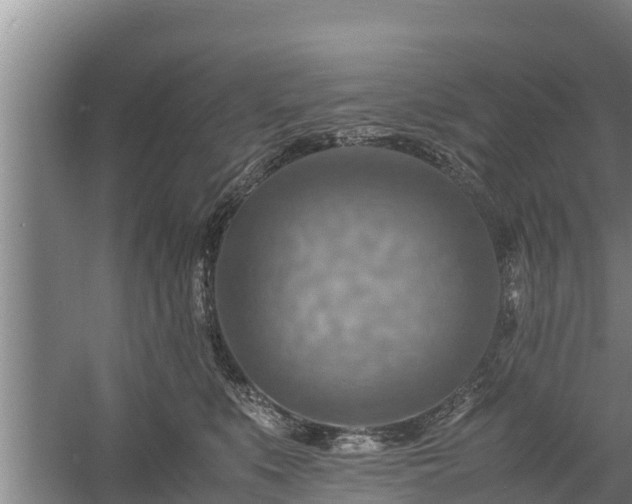 X0000058130519200509301956