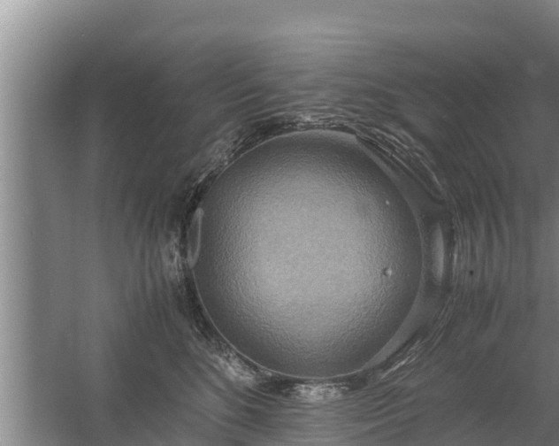 X0000058130520200509301956