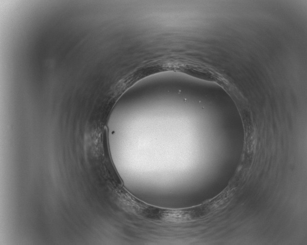 X0000058130521200509301956