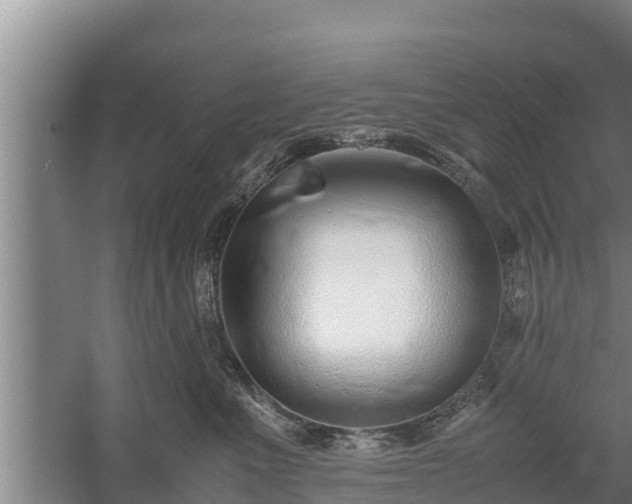 X0000058130523200509301956