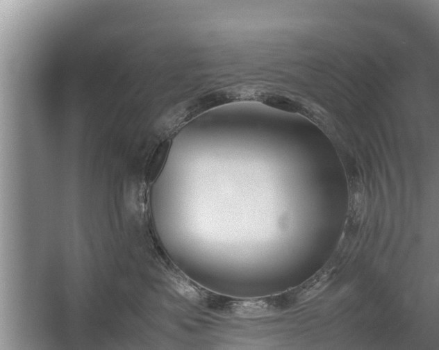 X0000058130525200509301956