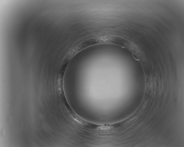 X0000058130526200509301956