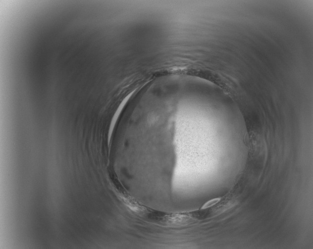 X0000058130527200509301956