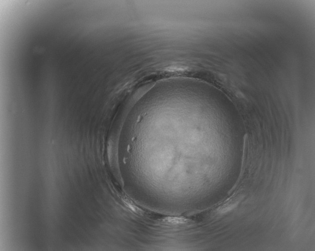 X0000058130528200509301956