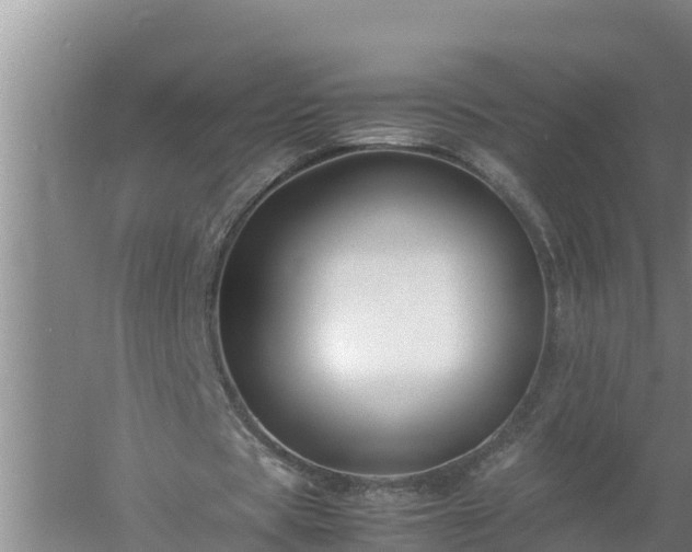 X0000058130529200509301955