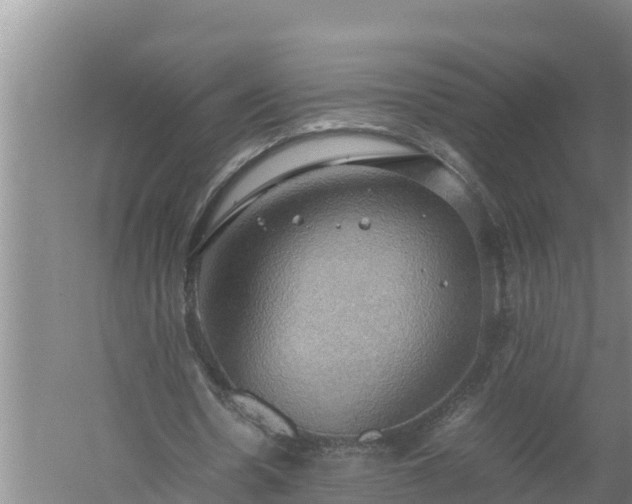 X0000058130530200509301955