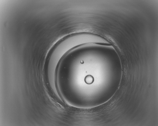 X0000058130532200509301955